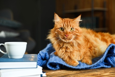 Photo of Adorable red cat resting near books and coffee on wooden table. Warm and cozy winter