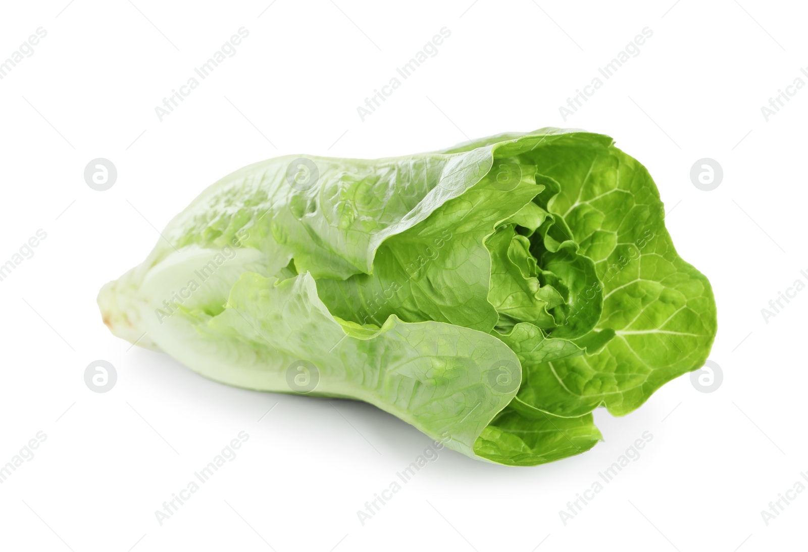 Photo of Fresh green romaine lettuce isolated on white