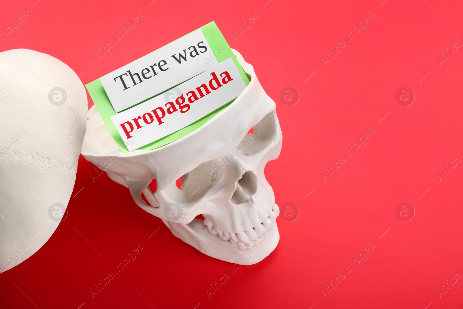 Photo of Information warfare concept, media propaganda influence. Paper card inside human skull on red background, space for text