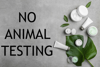 Image of Cosmetic products and text NO ANIMAL TESTING on grey background, flat lay