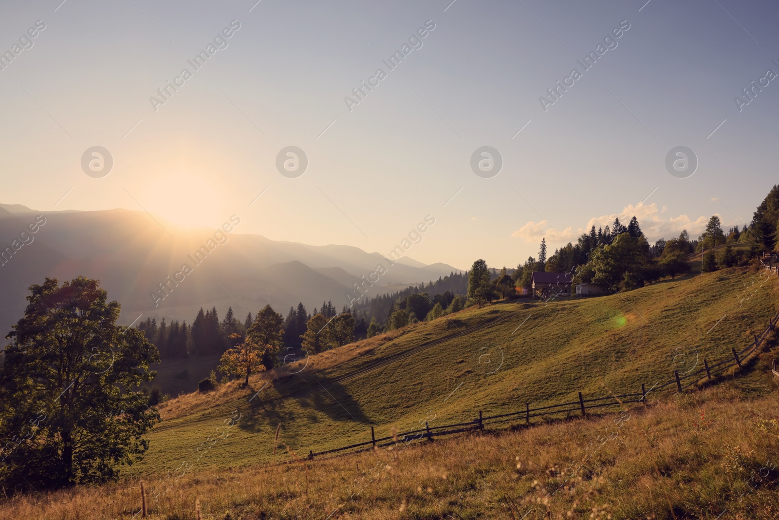 Photo of Morning sun shining over pasture in mountains