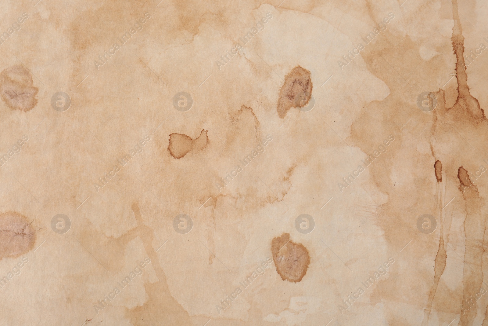 Photo of Sheet of parchment paper as background, top view