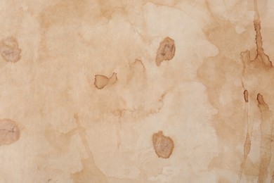 Photo of Sheet of parchment paper as background, top view