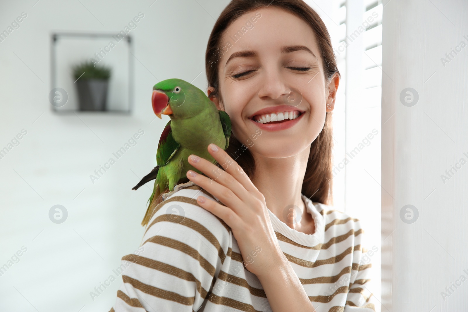 Photo of Young woman with cute Alexandrine parakeet indoors