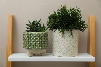 Beautiful houseplants on shelf near beige wall