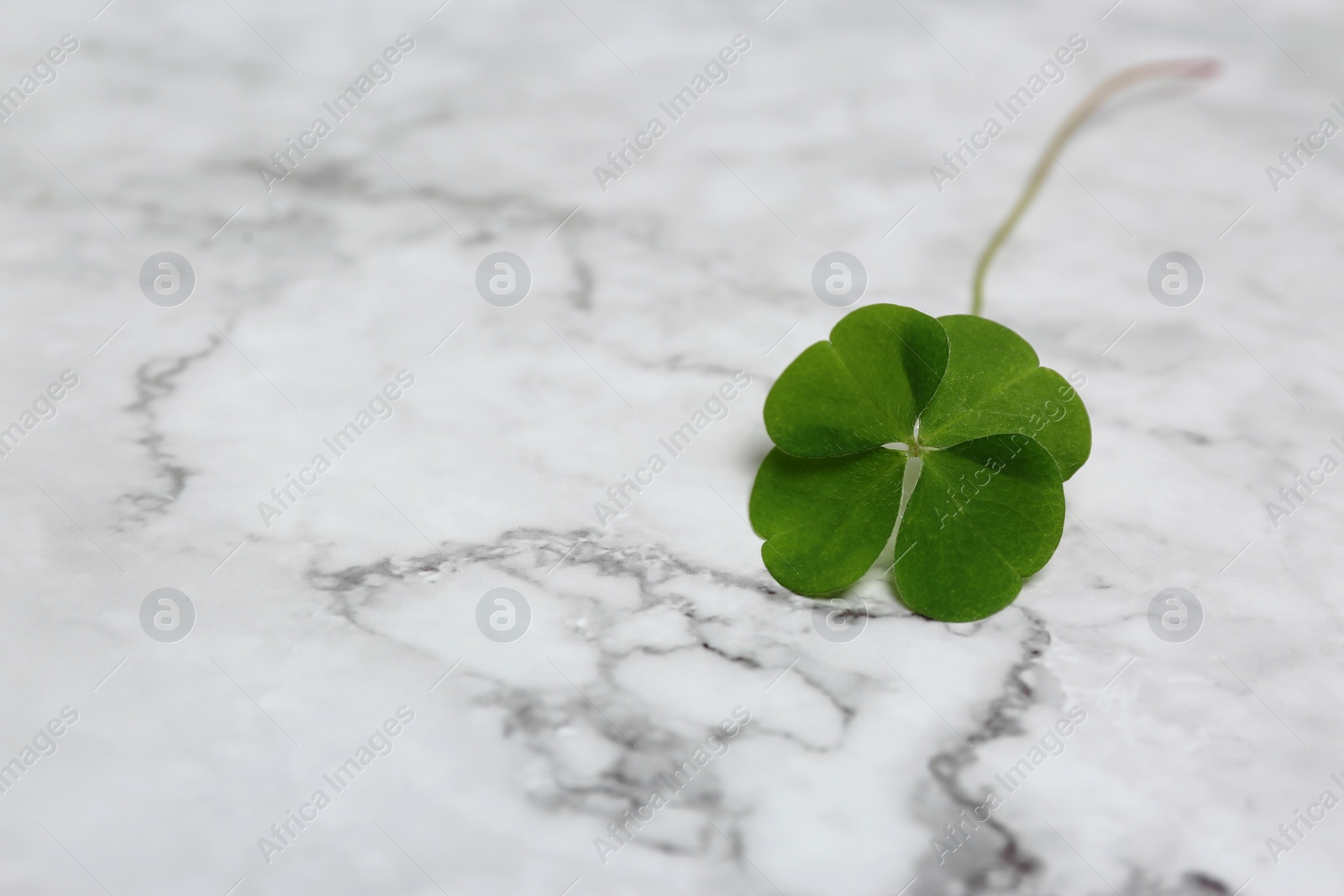 Photo of Beautiful green four leaf clover on white marble table, closeup. Space for text