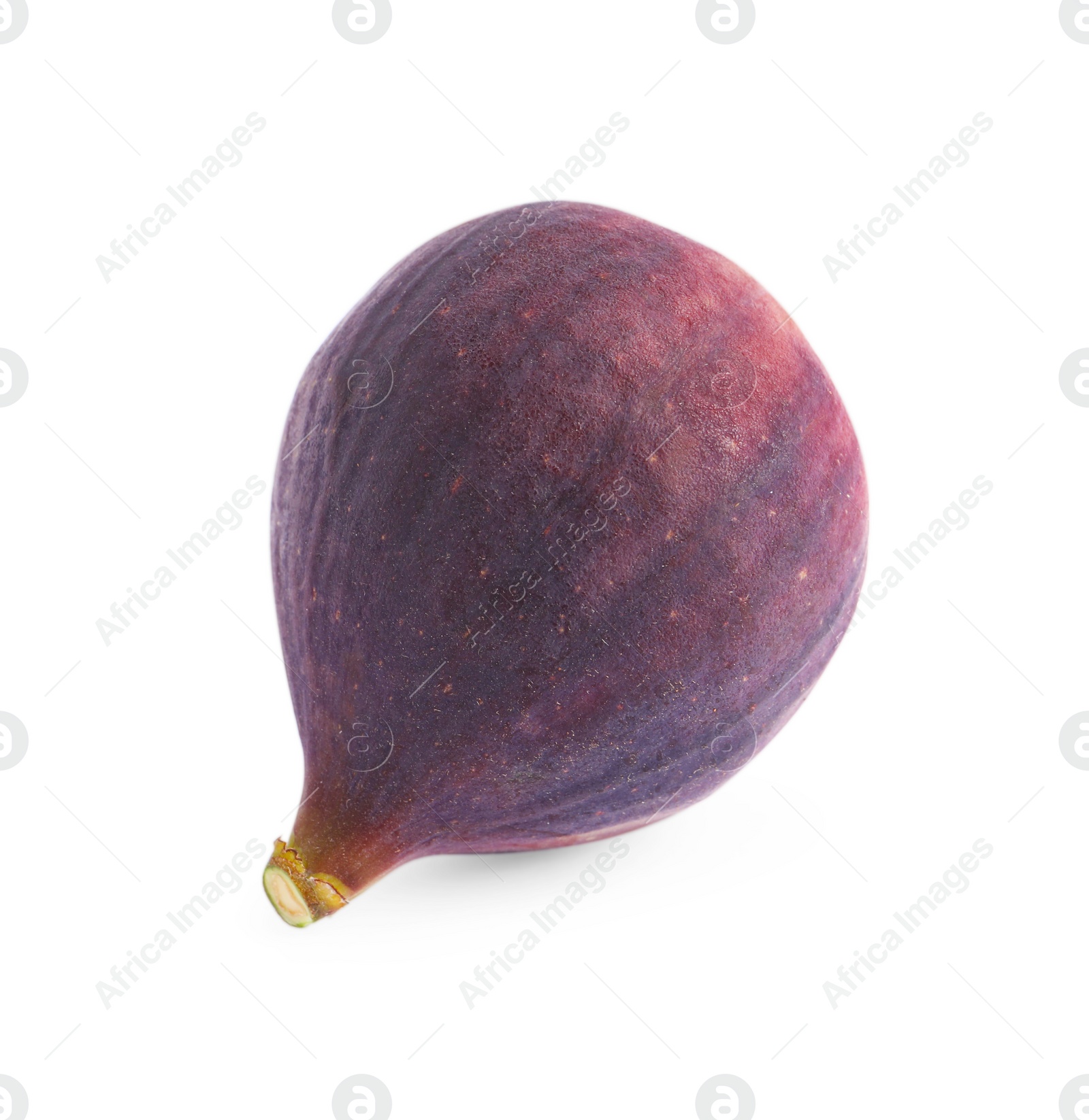 Photo of Whole ripe fresh fig isolated on white