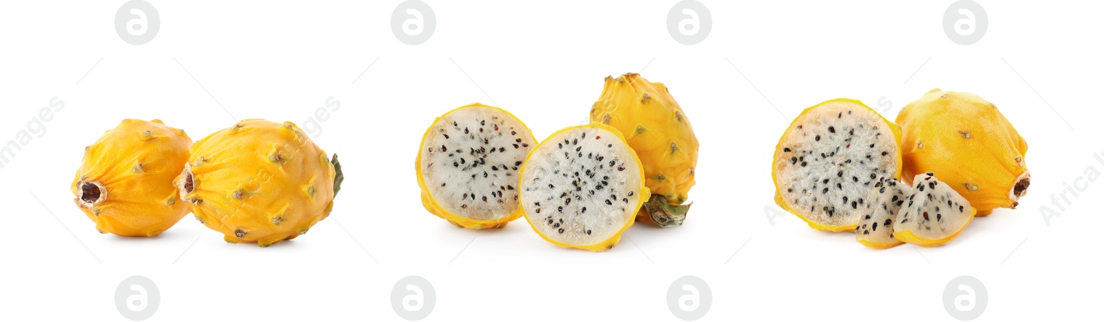 Image of Set with delicious yellow dragon fruits (pitahaya) on white background. Banner design