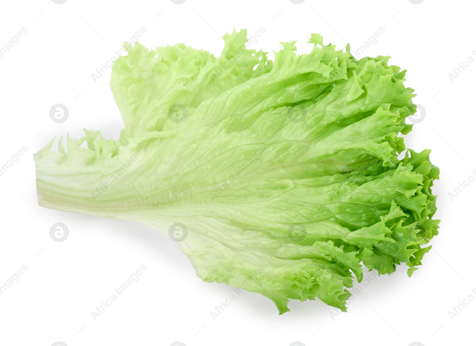 Photo of Fresh green lettuce leaf isolated on white