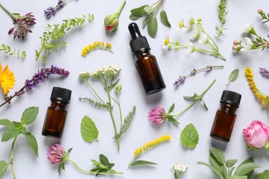 Bottles of essential oils, different herbs and flowers on white background, flat lay