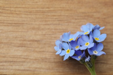 Photo of Beautiful blue Forget-me-not flower on wooden table, top view. Space for text
