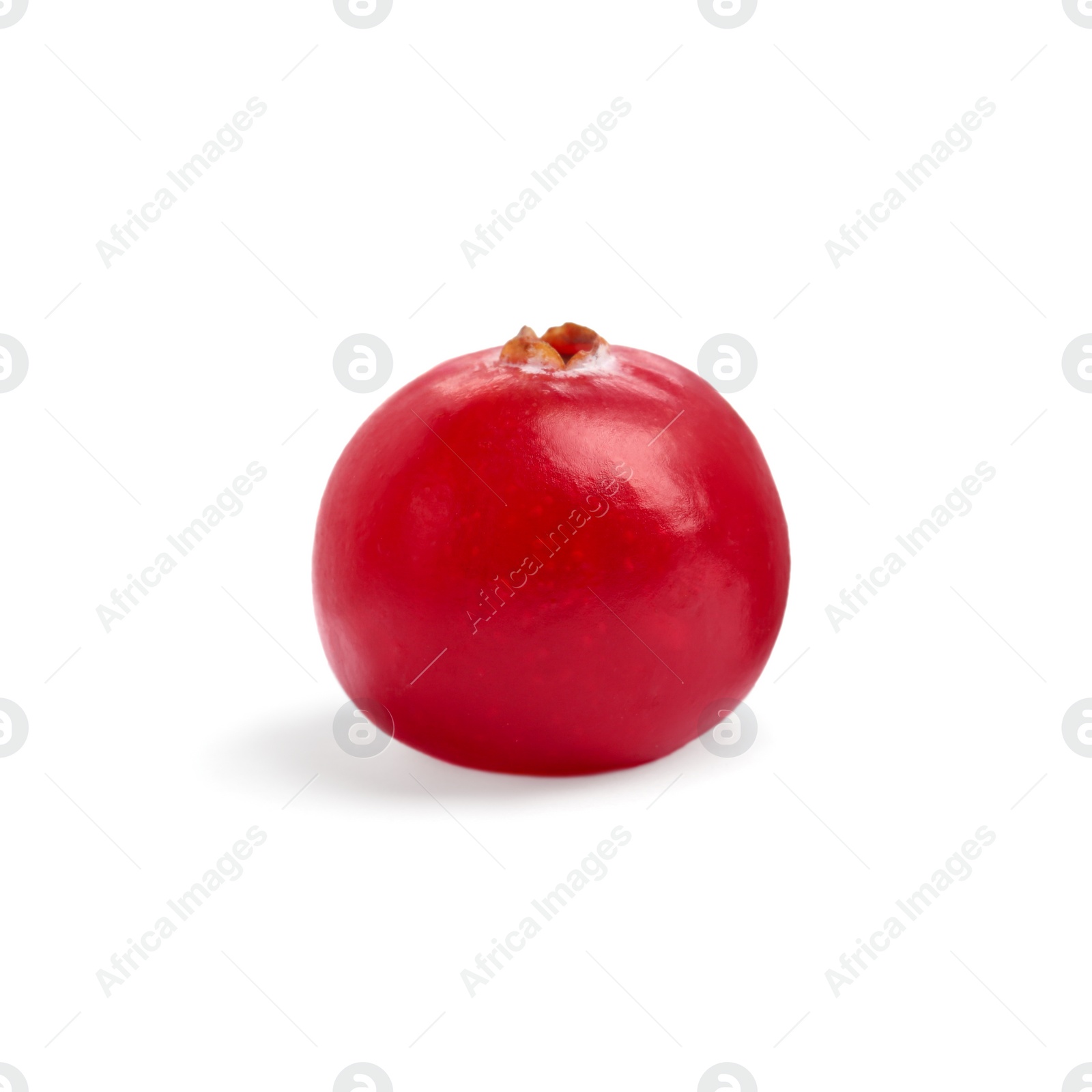 Photo of One fresh ripe cranberry isolated on white