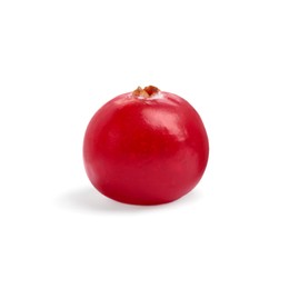 Photo of One fresh ripe cranberry isolated on white