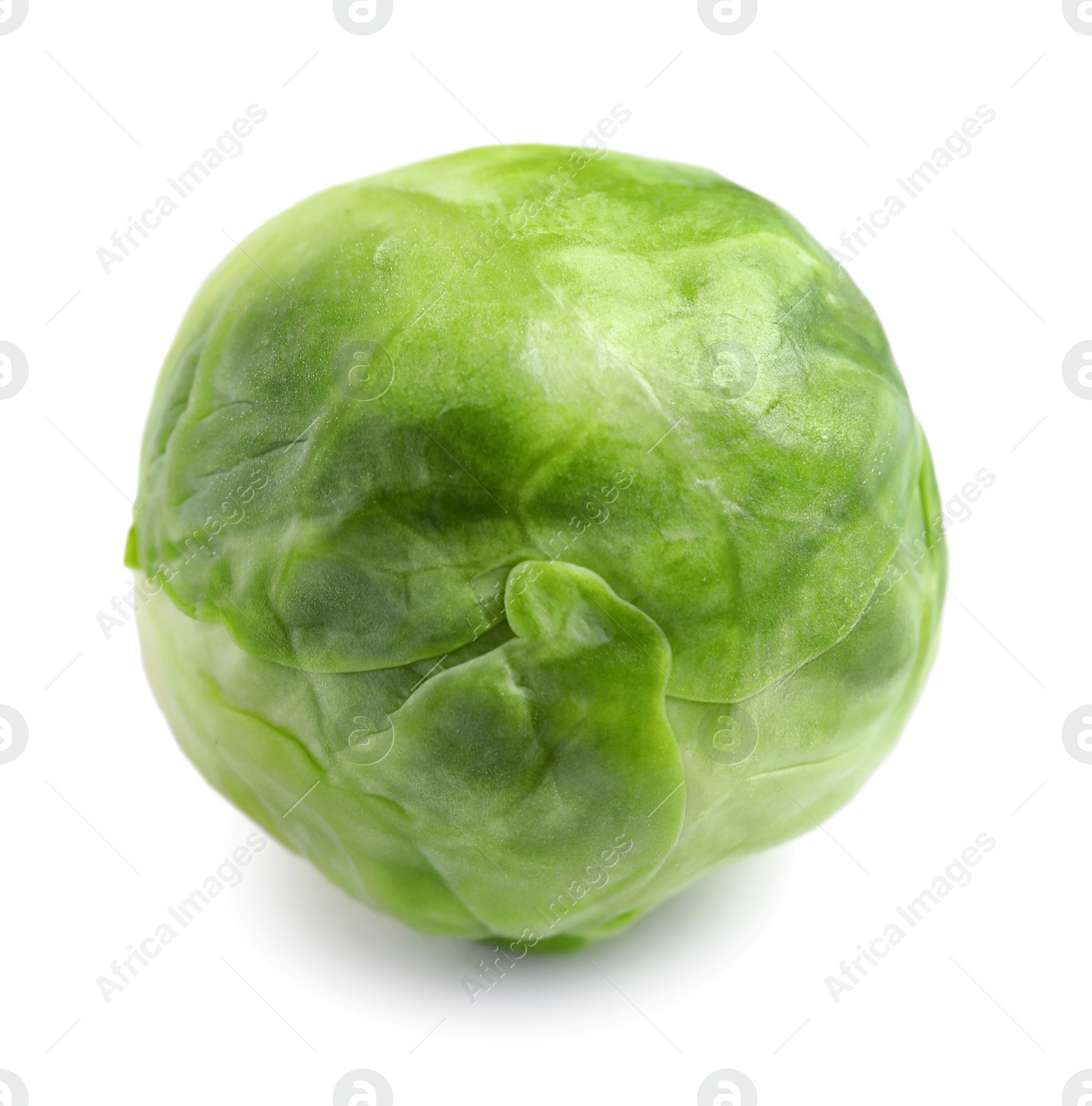 Photo of Fresh tasty Brussels sprout on white background