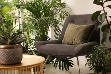 Photo of Lounge area interior with comfortable armchair and houseplants