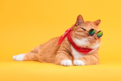 Photo of Cute ginger cat in stylish sunglasses and bandana on yellow background