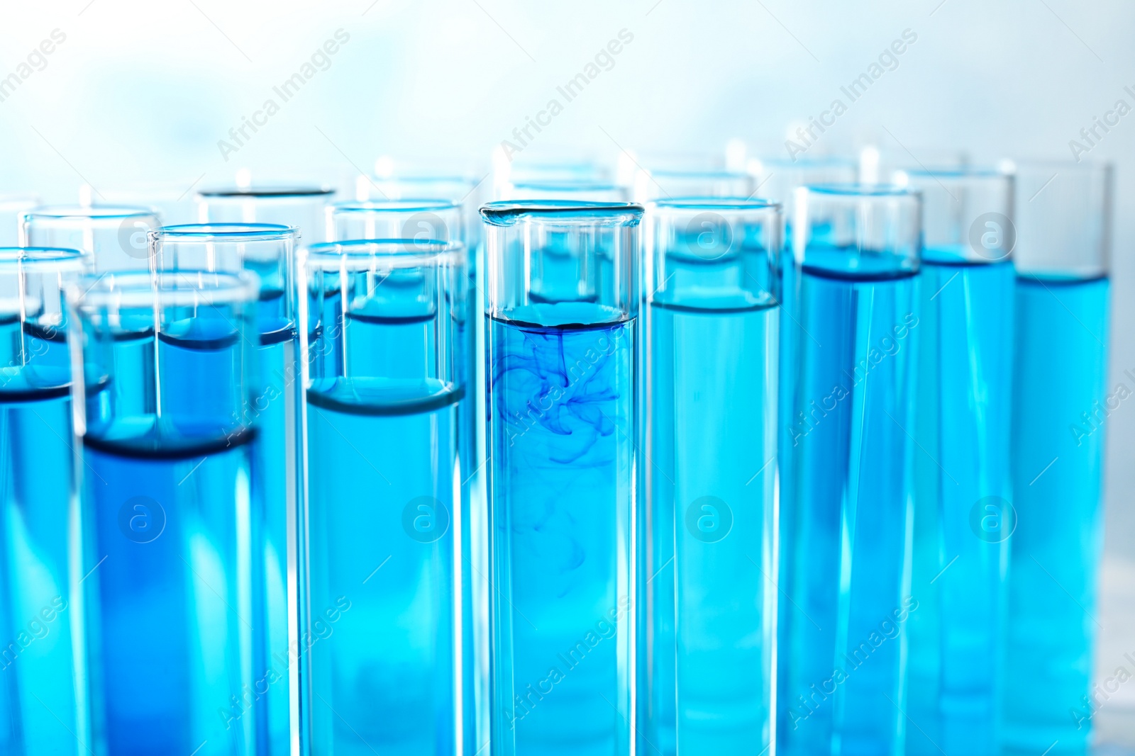 Photo of Many test tubes with blue liquid, closeup