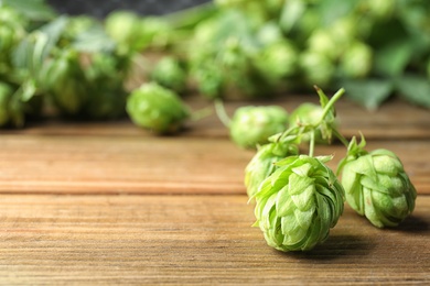 Photo of Fresh green hops and space for text on wooden table. Beer production