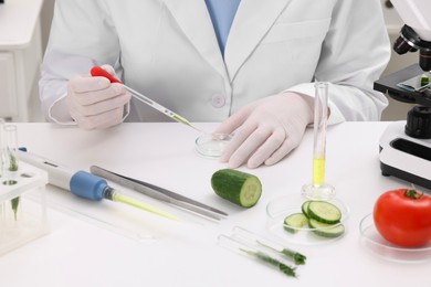 Photo of Quality control. Food inspector checking safety of products in laboratory, closeup