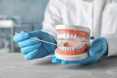 Photo of Dentist holding educational model of oral cavity at table in clinic, closeup