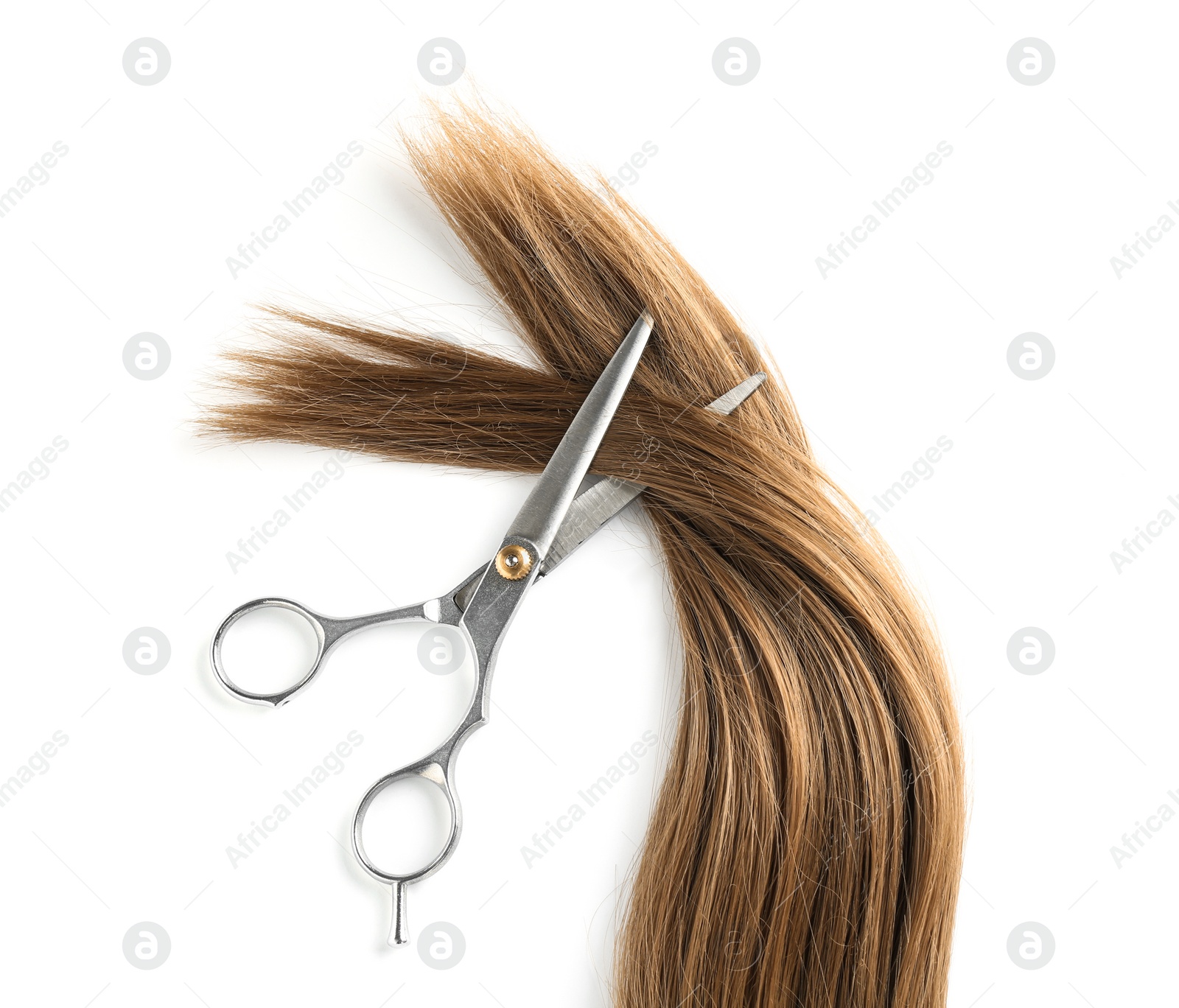 Photo of Light brown hair and scissors on white background, top view. Hairdresser service