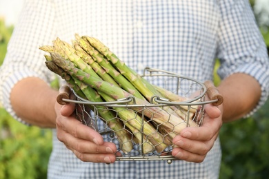 Man holding metal basket with fresh raw asparagus outdoors, closeup