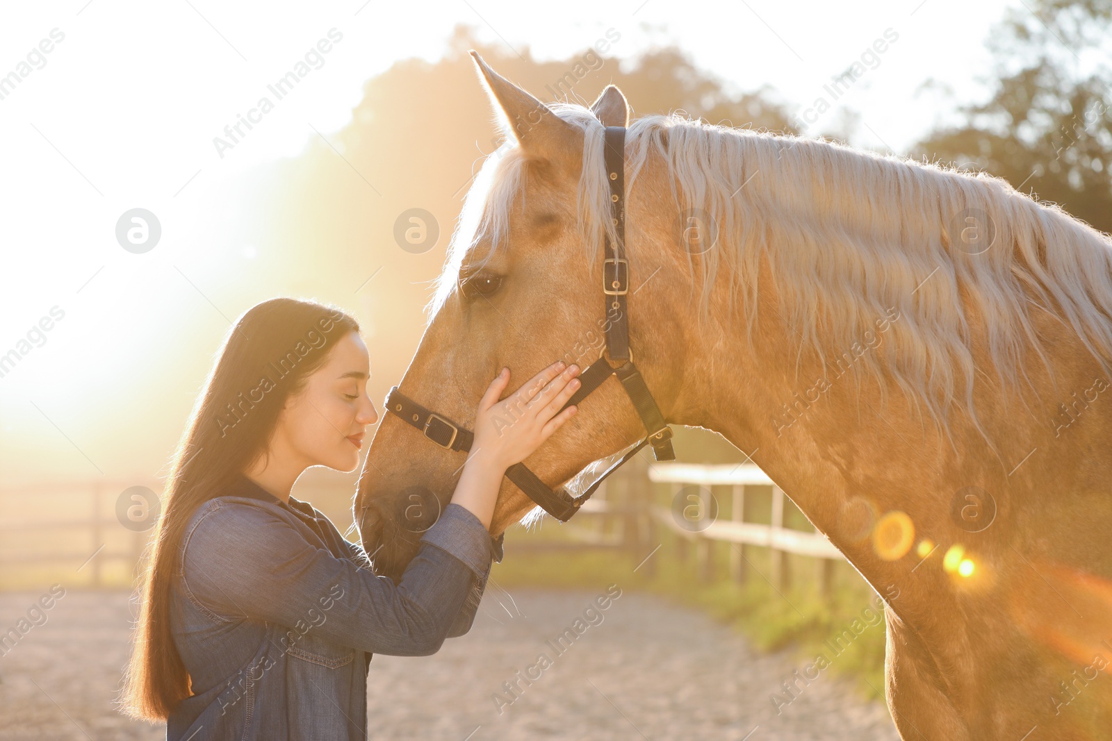 Photo of Beautiful woman with adorable horse outdoors on sunny day. Lovely domesticated pet