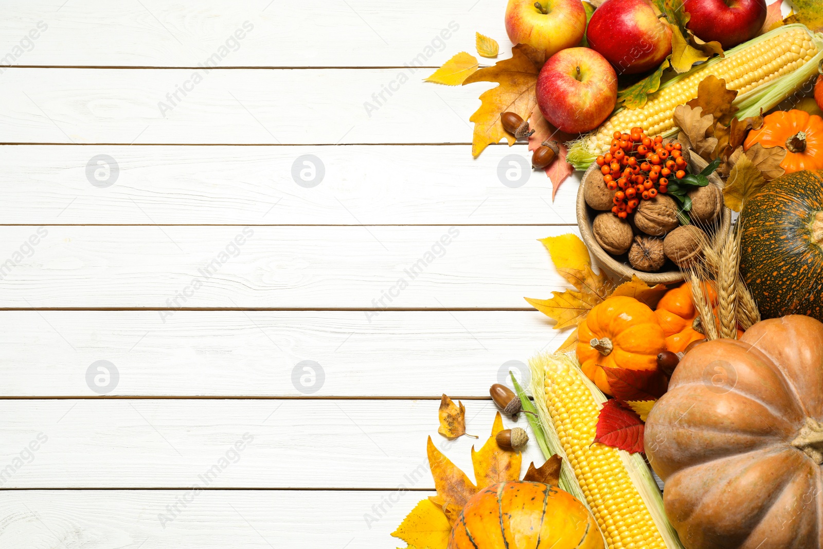Photo of Flat lay composition with ripe pumpkins and autumn leaves on white wooden table, space for text. Happy Thanksgiving day