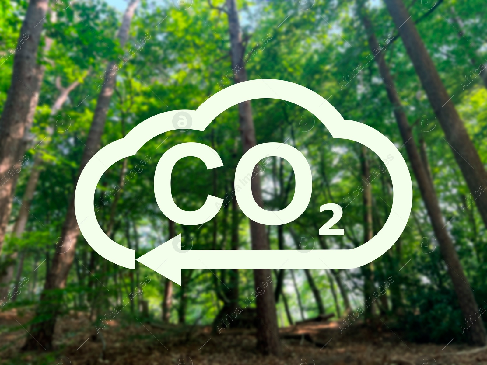 Image of Concept of clear air. CO2 inscription in illustration of cloud with arrow and beautiful forest, low angle view