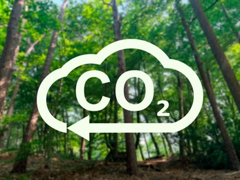 Concept of clear air. CO2 inscription in illustration of cloud with arrow and beautiful forest, low angle view