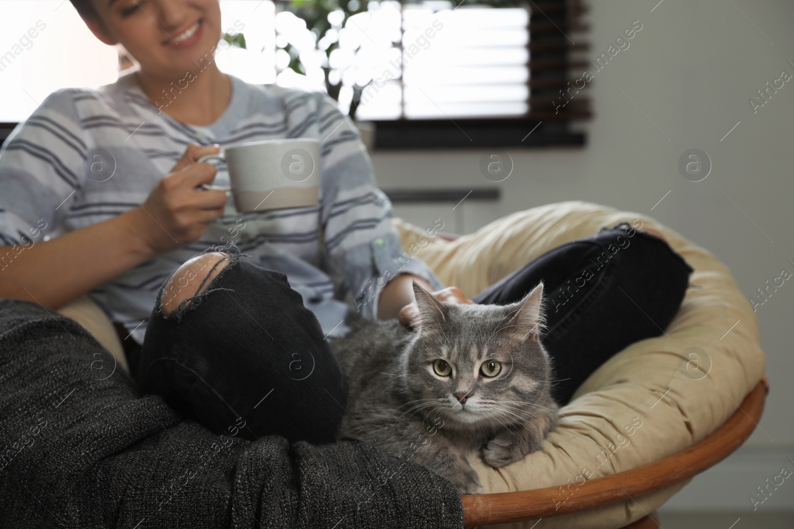 Photo of Young woman with cute cat on armchair at home. Pet and owner