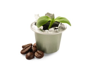 Photo of Green seedling growing in coffee capsule and beans isolated on white