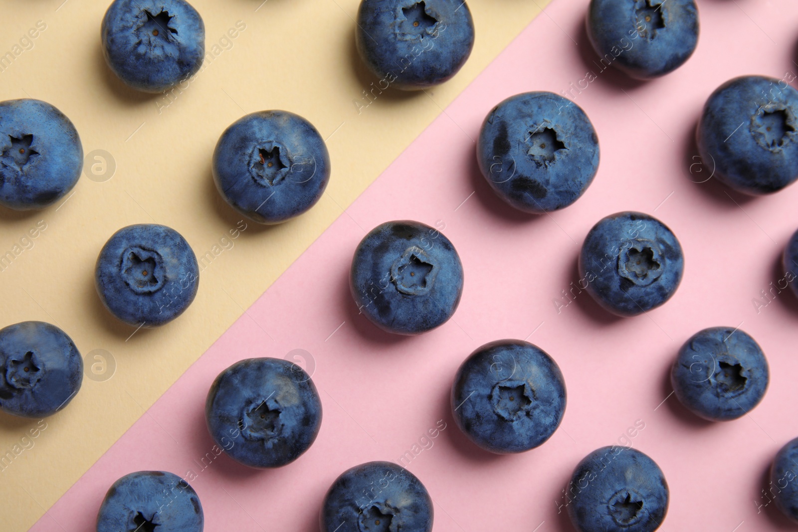 Photo of Flat lay composition with tasty blueberry on color background