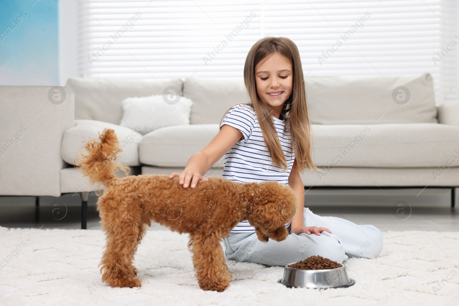 Photo of Little child feeding cute puppy on carpet at home. Lovely pet