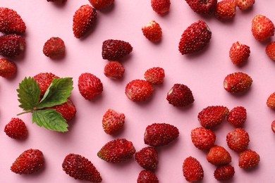 Photo of Many fresh wild strawberries and leaves on pink background, flat lay