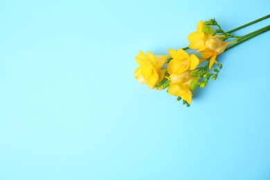 Photo of Beautiful freesia flowers on color background