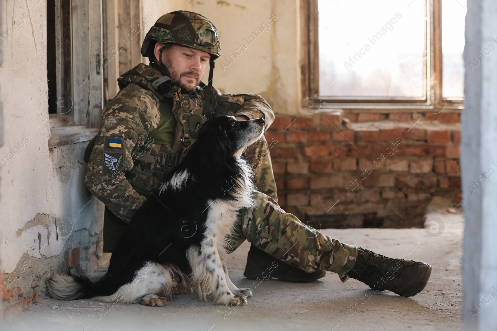 Photo of Ukrainian soldier sitting with stray dog in abandoned building