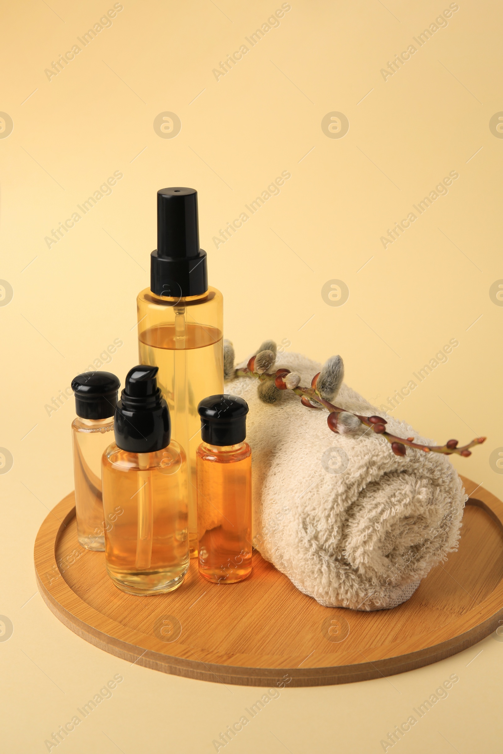 Photo of Bottles with cosmetic products, rolled towel and willow branch on beige background