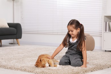 Photo of Little girl petting cute ginger cat on carpet at home, space for text