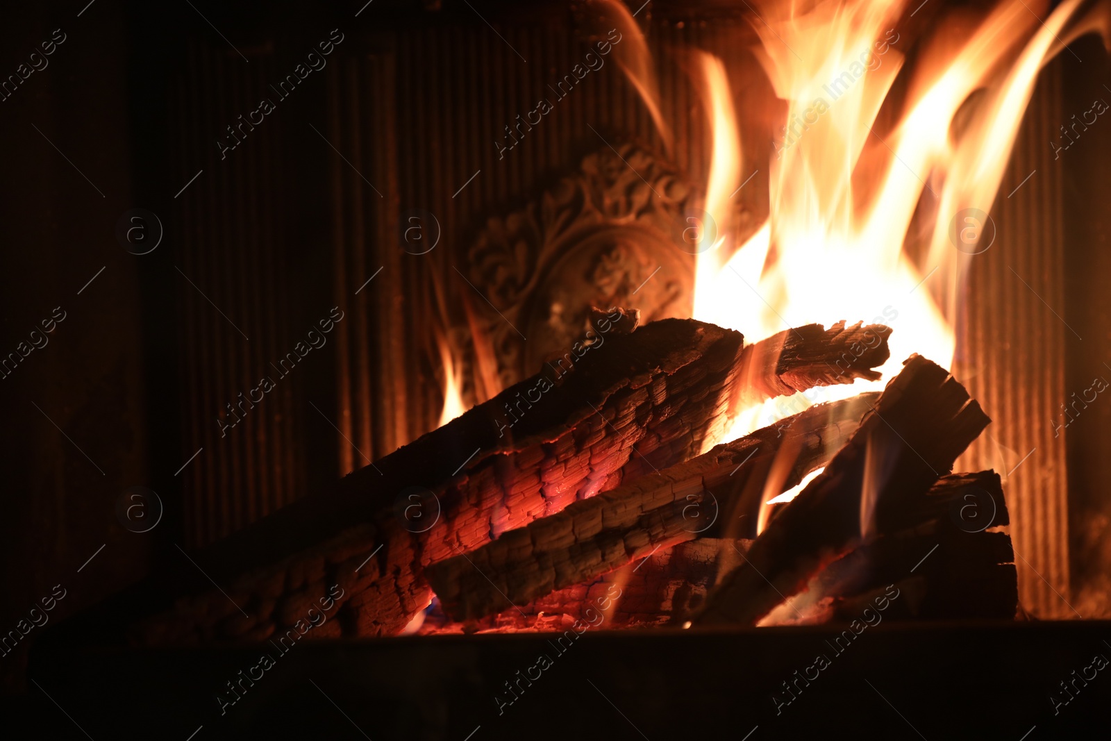 Photo of Bonfire with burning firewood on dark background, closeup