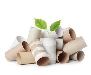 Image of Empty toilet paper rolls and plant on white background