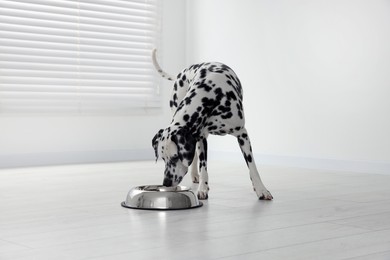 Photo of Adorable Dalmatian dog near silver bowl indoors