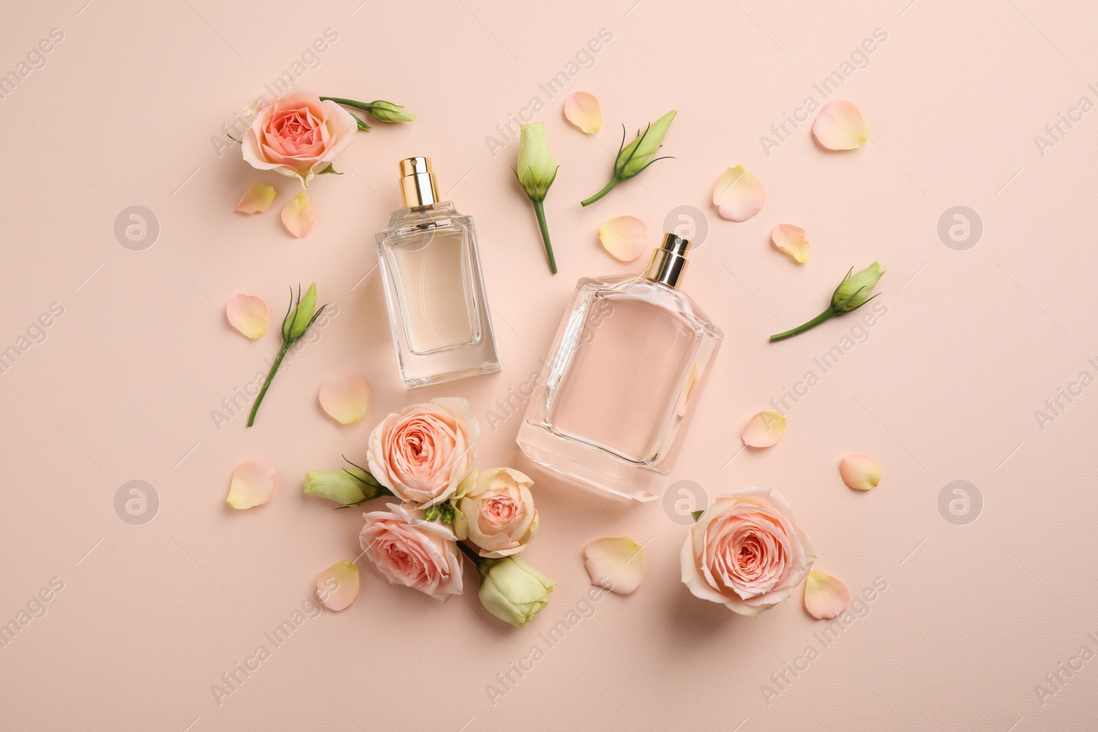 Photo of Flat lay composition with different perfume bottles and fresh flowers on beige background