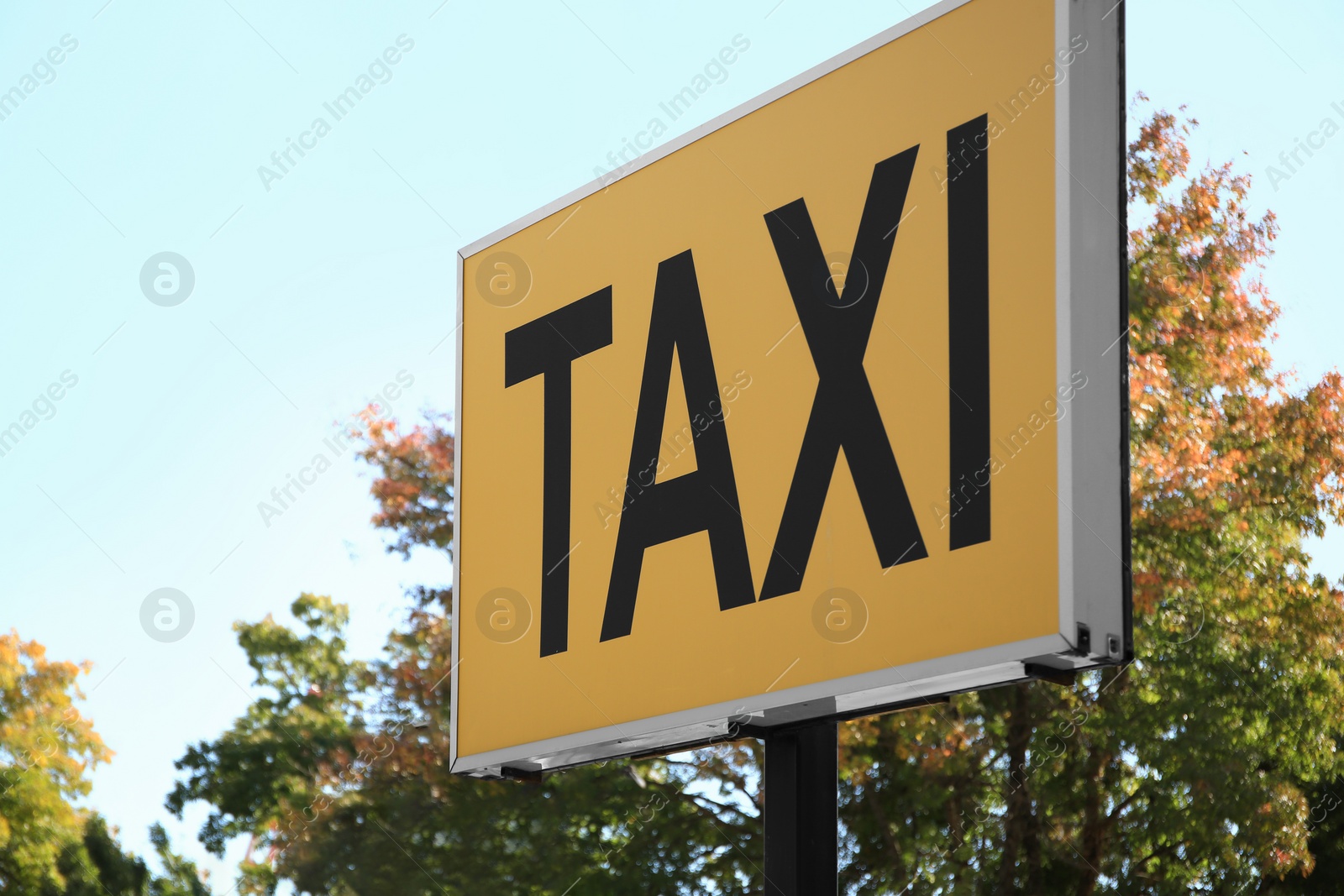 Photo of Post with Taxi sign on city street, closeup