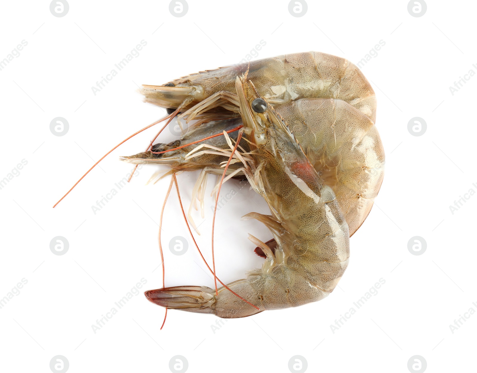 Photo of Fresh raw shrimps isolated on white, top view. Healthy seafood