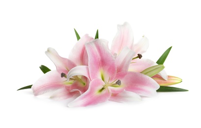 Photo of Beautiful fresh pink lilies with leaves on white background