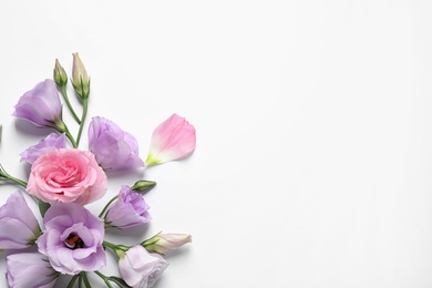 Beautiful Eustoma flowers on white background, top view. Space for text