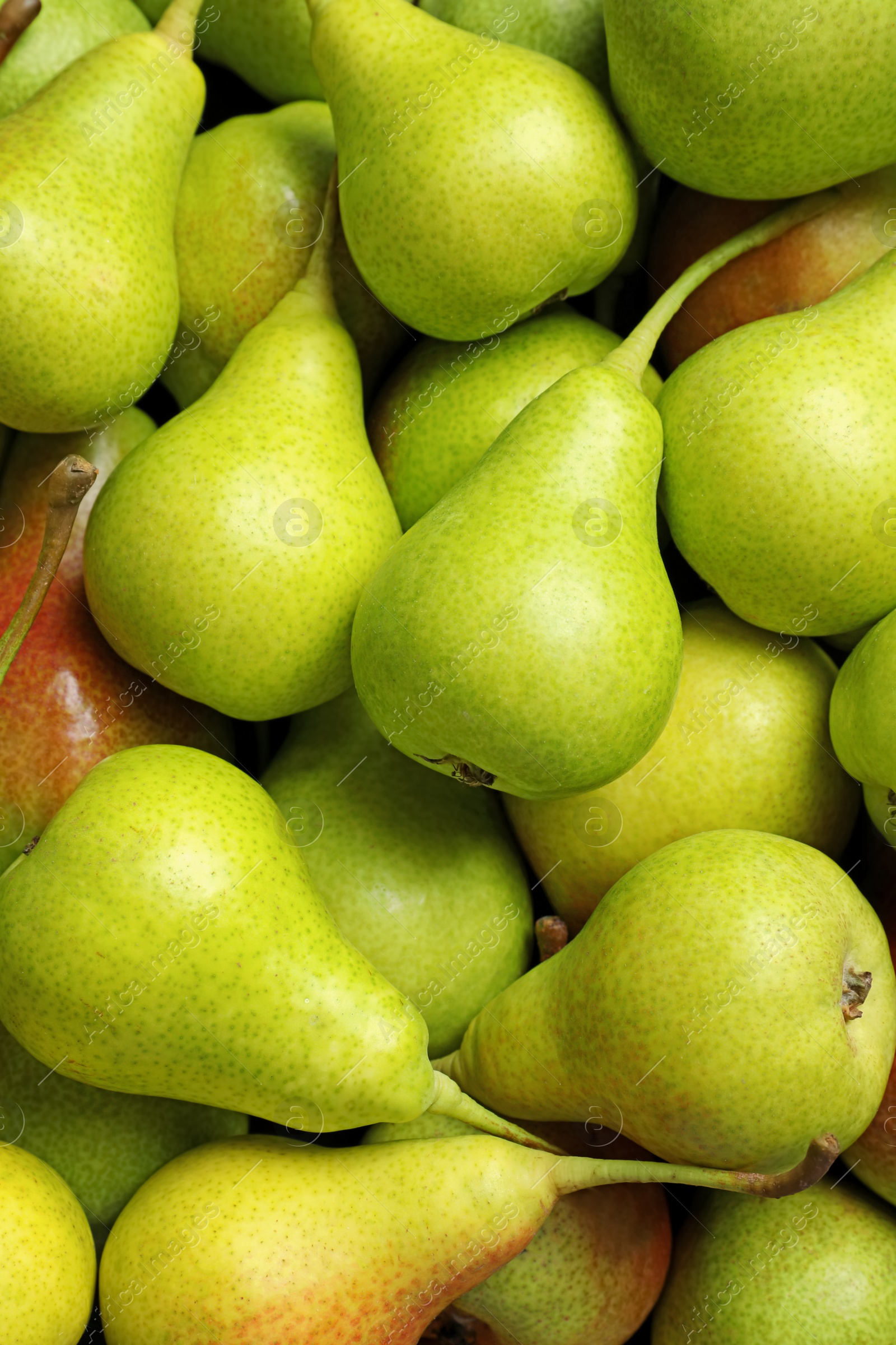 Photo of Fresh ripe pears as background, top view