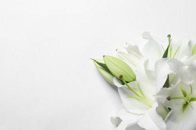 Beautiful lilies on white background, top view