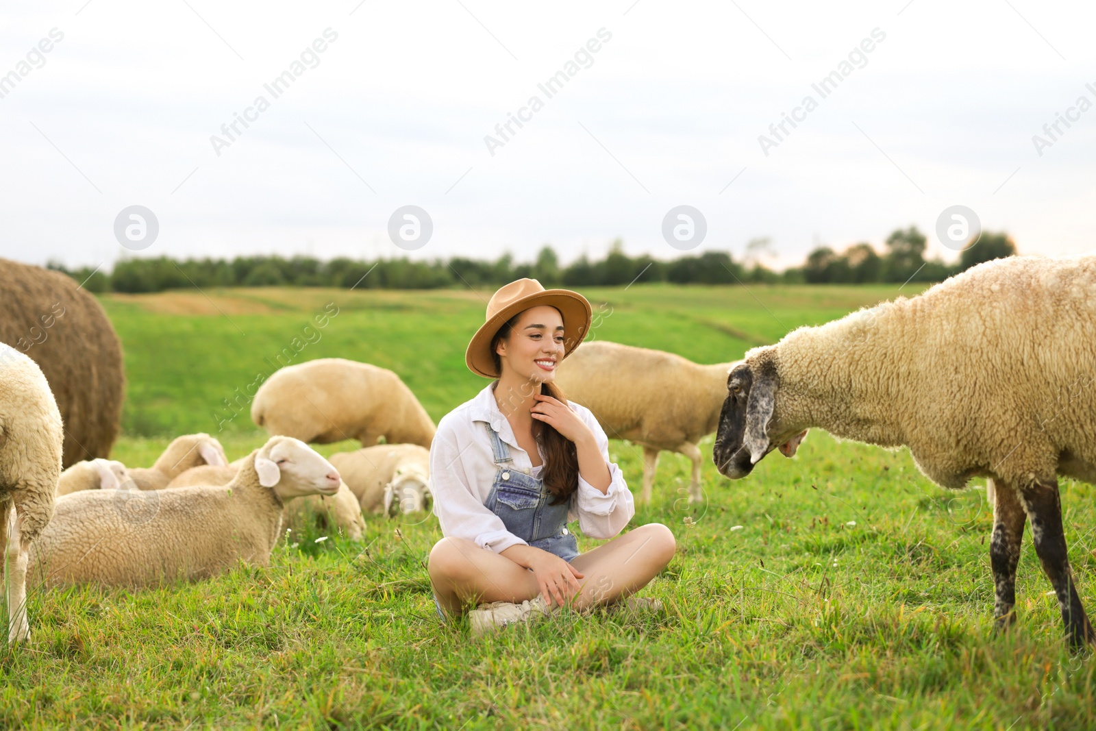 Photo of Smiling woman with sheep on pasture at farm